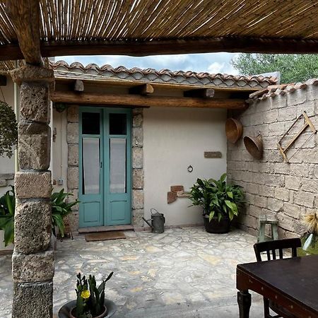 Graziosa Stanza Campidanese Su Terzu Konuk evi Oristano Dış mekan fotoğraf
