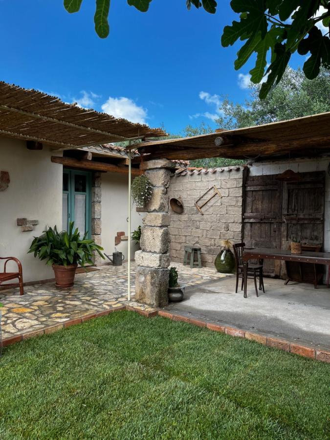 Graziosa Stanza Campidanese Su Terzu Konuk evi Oristano Dış mekan fotoğraf